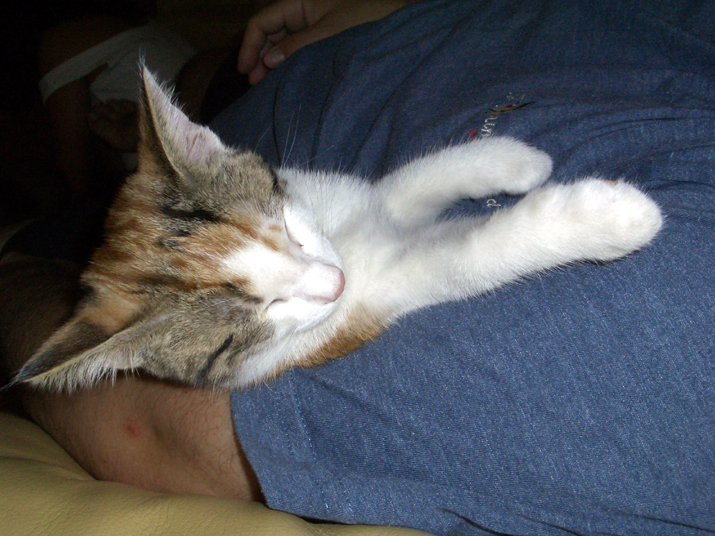 Caramel 08-04 033.jpg